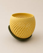 Vaso Polygon | Helio