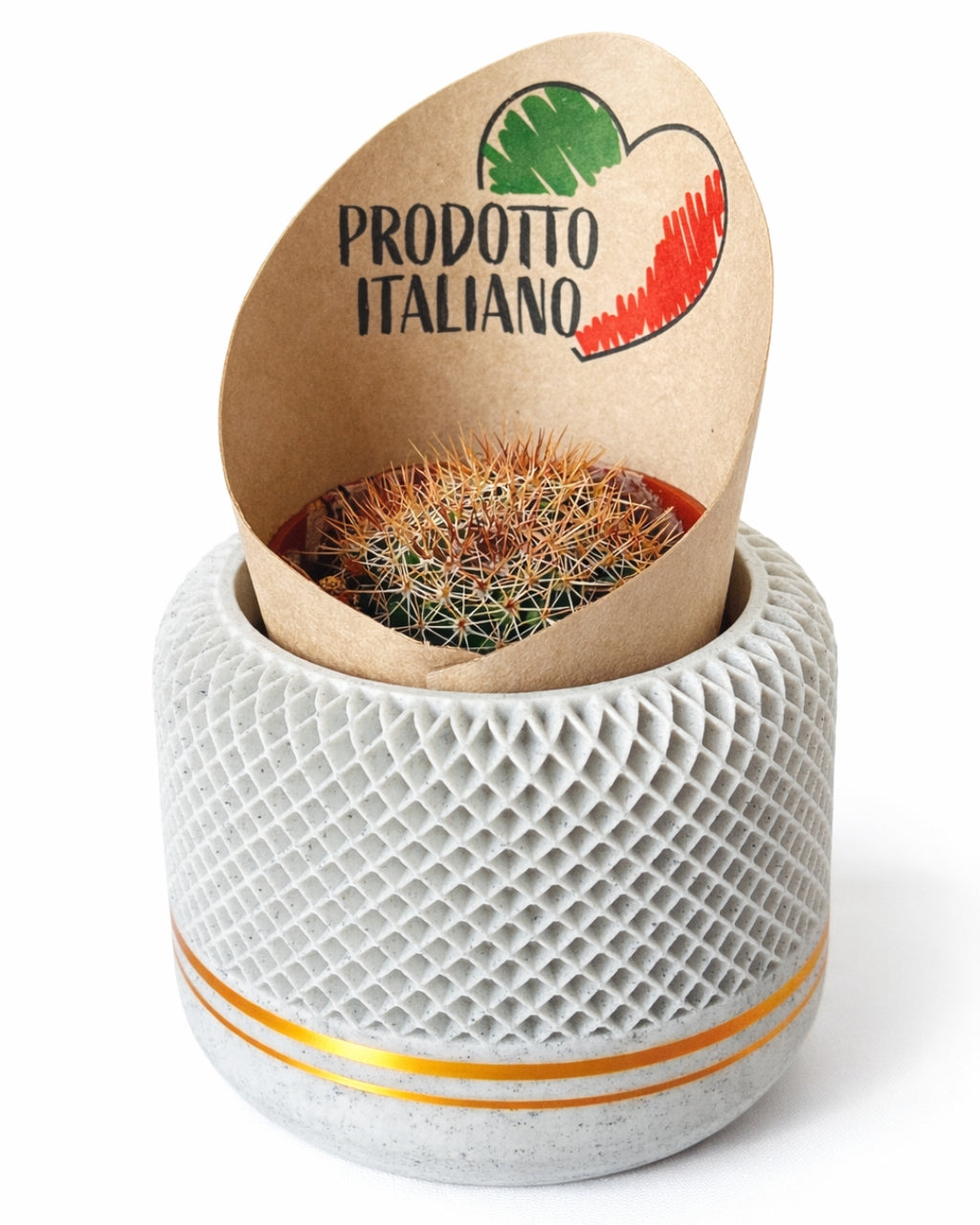 Vasetto Home Pod Stampato 3D | Confezione Regalo | Disponibilità Limitata | Printable Objects