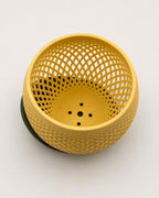 Vaso Polygon | Helio