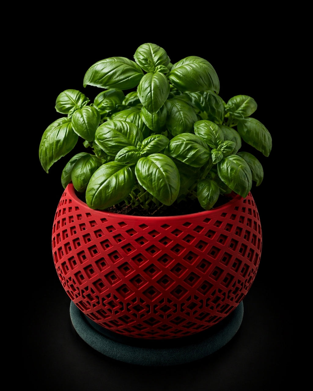 Portavaso Vector Stampato 3D | Design Helio