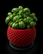 Portavaso Vector Stampato 3D | Design Helio