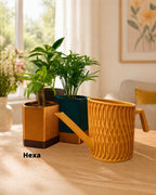 Annaffiatoio Nexus Stampato 3D | Design Helio