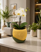 Vaso Polygon | Helio