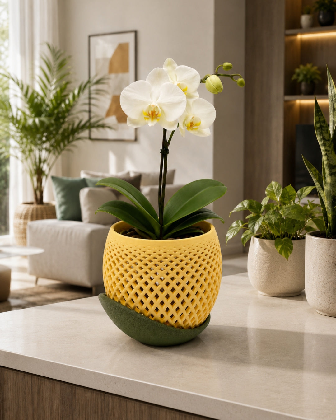Vaso Polygon | Helio